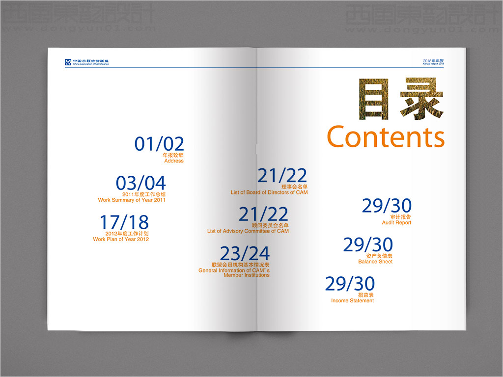 中國小額信貸聯(lián)盟年報設計之目錄頁設計